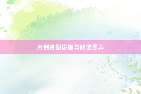 用例贪图设施与践诺愚弄
