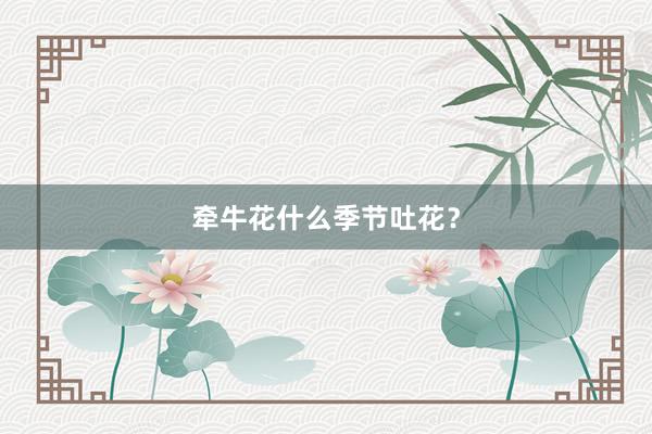 牵牛花什么季节吐花?