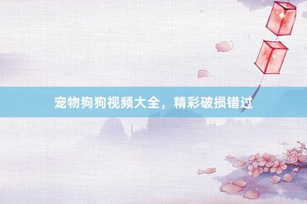 宠物狗狗视频大全，精彩破损错过