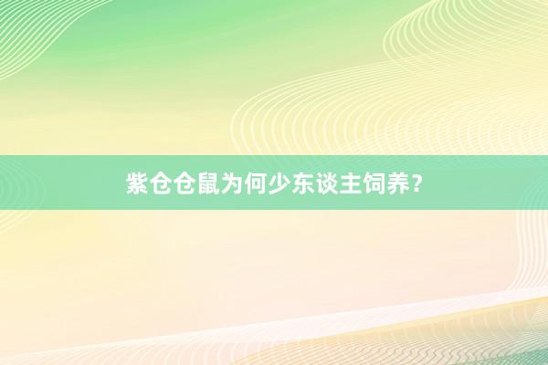 紫仓仓鼠为何少东谈主饲养?