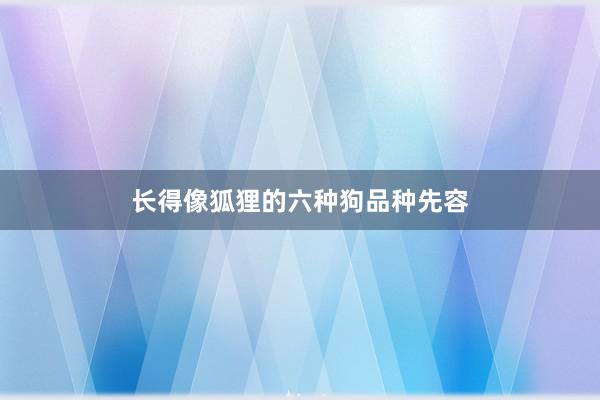 长得像狐狸的六种狗品种先容